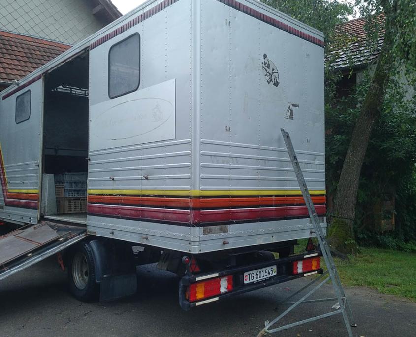 Kamelanhänger - Fahrzeugbemalung - wolli ruf - mediendesign